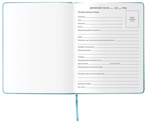 Дневник 1-11 класс 48 л., кожзам (твердая с поролоном), тиснение аппликация, BRAUBERG, "ДЖИП", 105977