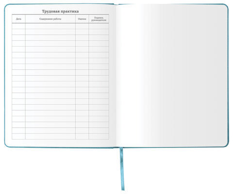 Дневник 1-11 класс 48 л., кожзам (твердая с поролоном), тиснение аппликация, BRAUBERG, "ДЖИП", 105977