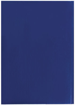 Журнал учета для розничной торговли, 96 л., бумвинил, блок офсет, А4 (200x290 мм), BRAUBERG, 111270