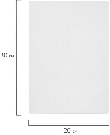 Холсты на картоне НАБОР 10 штук (20х30 см), хлопок, грунт, 280 г/м2, BRAUBERG ART CLASSIC, 192659, 192658