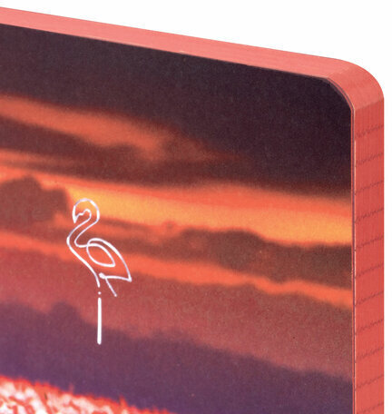 Блокнот МАЛЫЙ ФОРМАТ (100х150 мм) А6, BRAUBERG VISTA "Flamingo", под кожу, гибкий, тиснение фольга, 80 л., 112099