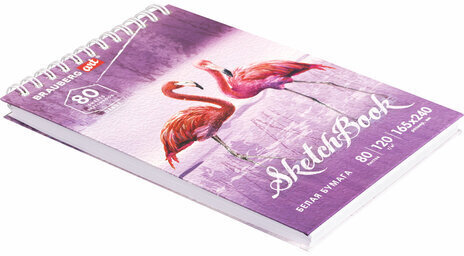 Скетчбук, белая бумага 120 г/м2 165х240 мм, 80 л., гребень, твердая обложка, BRAUBERG ART DEBUT, 112990