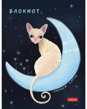 Блокнот МАЛЫЙ ФОРМАТ А6 (105х145 мм) 80 л., твердый, клетка, HATBER, Лунный кот, 80ББ6В1_23809