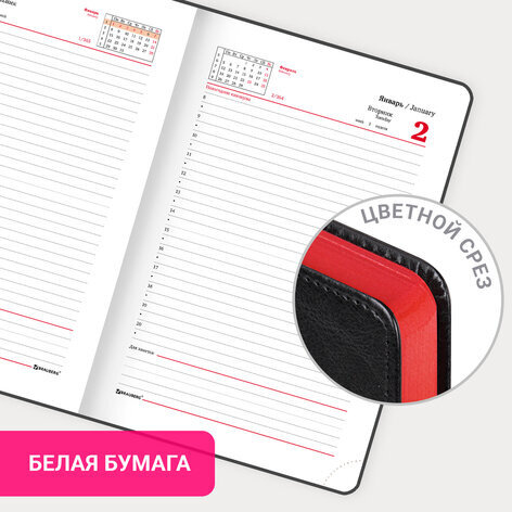 Ежедневник датированный 2024 А5 138x213 мм BRAUBERG "Inspiration", под кожу, цветной срез, черный, 114984
