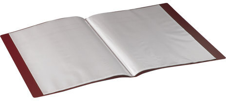 Папка 20 вкладышей BRAUBERG стандарт, красная, 0,6 мм, 221594