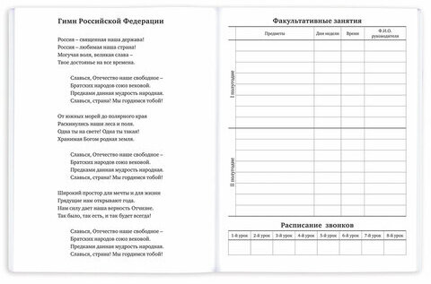 Дневник 1-11 класс 40 л., на скобе, ПИФАГОР, обложка картон, "Футбол", 107136