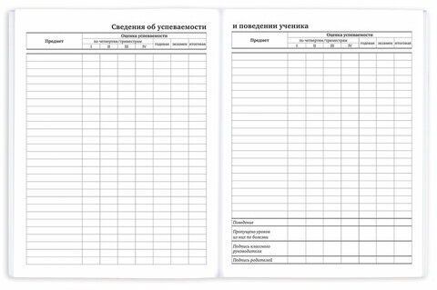 Дневник 1-11 класс 40 л., на скобе, ПИФАГОР, обложка картон, "Футбол", 107136