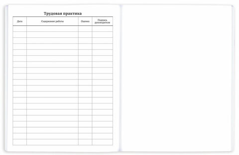 Дневник 1-11 класс 40 л., на скобе, ПИФАГОР, обложка картон, "Футбол", 107136