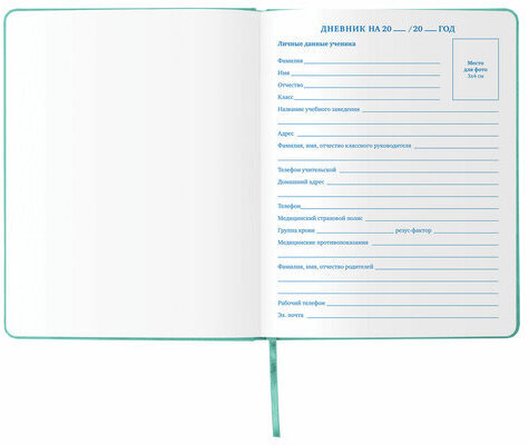 Дневник 1-11 класс 48 л., кожзам (твердая с поролоном), тиснение аппликация, BRAUBERG, "РУСАЛКА", 105978