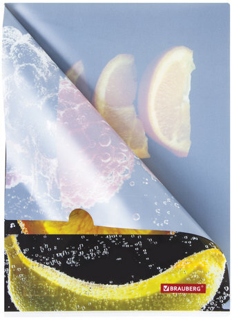 Папка-уголок BRAUBERG "FRESH ZONE", А4, 150 мкм, цветная печать, 228035