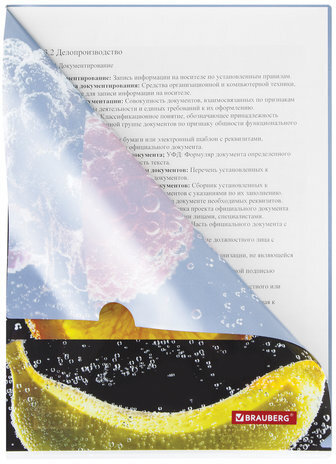Папка-уголок BRAUBERG "FRESH ZONE", А4, 150 мкм, цветная печать, 228035