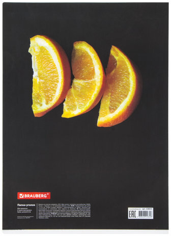 Папка-уголок BRAUBERG "FRESH ZONE", А4, 150 мкм, цветная печать, 228035