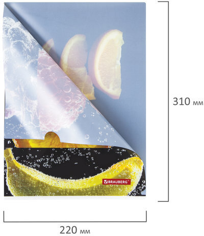 Папка-уголок BRAUBERG "FRESH ZONE", А4, 150 мкм, цветная печать, 228035