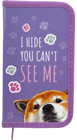 Пенал ПИФАГОР, 1 отделение, ламинированный картон, 19х11 см, "Akita", 271005