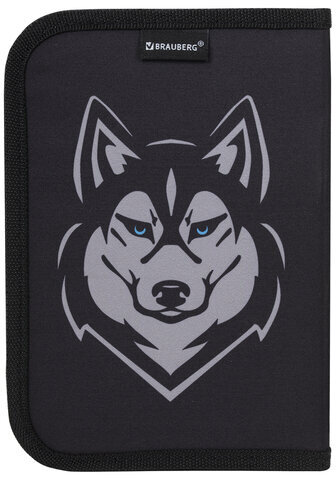 Пенал BRAUBERG, 1 отделение, полиэстер, 21х14 см, "Husky", 271532