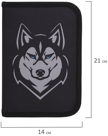 Пенал BRAUBERG, 1 отделение, полиэстер, 21х14 см, "Husky", 271532