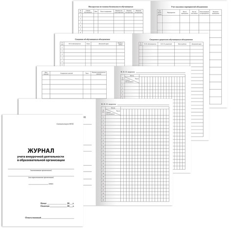 Книга BRAUBERG "Журнал учета внеурочной деятельности в образовательных организациях", 32 л., А4, 127926