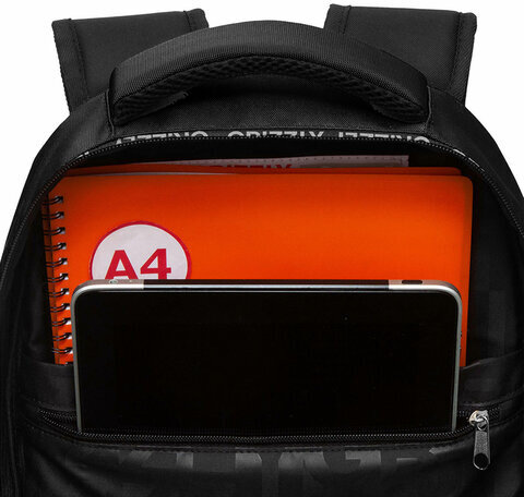 Рюкзак GRIZZLY школьный, анатомическая спинка, 2 отделения, для мальчиков, STYLE, 39х28х20 см, RB-454-1/1