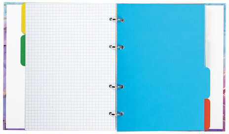 Тетрадь на кольцах А5 175х215 мм, 120 л., твердый картон, с разделителями, BRAUBERG, "Marble", 404086