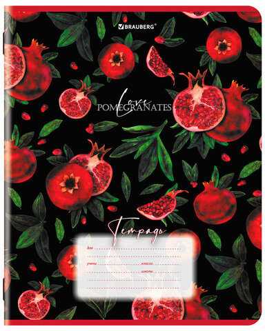 Тетрадь 18 л. BRAUBERG, клетка, обложка картон, ГРАНАТ, 107296