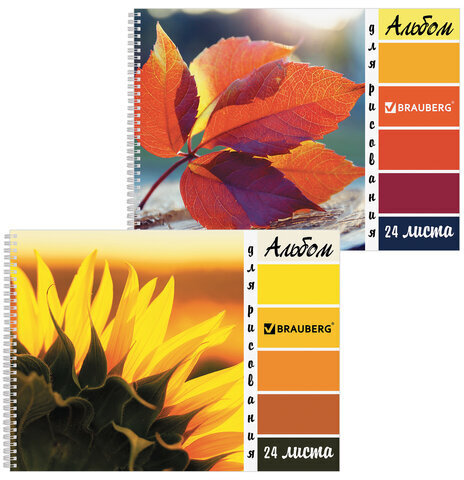 Альбом для рисования А4 24 листа, гребень, обложка картон, BRAUBERG, 205х290 мм, "Макро" (2 вида), 105062