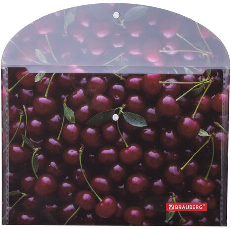 Папка-конверт с кнопкой BRAUBERG "CHERRY", А4, 160 мкм, до 100 листов, цветная печать, 228037