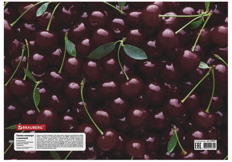Папка-конверт с кнопкой BRAUBERG "CHERRY", А4, 160 мкм, до 100 листов, цветная печать, 228037