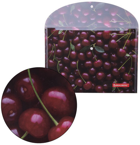 Папка-конверт с кнопкой BRAUBERG "CHERRY", А4, 160 мкм, до 100 листов, цветная печать, 228037
