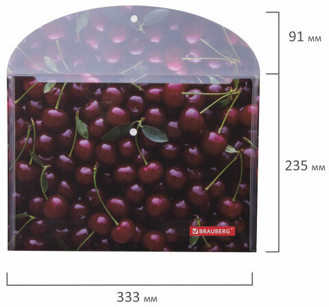 Папка-конверт с кнопкой BRAUBERG "CHERRY", А4, 160 мкм, до 100 листов, цветная печать, 228037