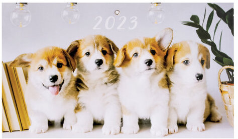 Календарь квартальный с бегунком 2023 г., 1 блок, 1 гребень, Соло-Люкс, "4 с хвостиком", HATBER, 1Кв1гр4ц_27073