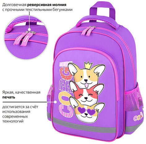 Рюкзак ПИФАГОР SCHOOL, 1 отделение, 3 кармана, "Corgi queen", 38x28х14 см, 272085