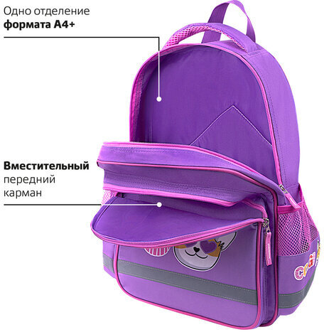 Рюкзак ПИФАГОР SCHOOL, 1 отделение, 3 кармана, "Corgi queen", 38x28х14 см, 272085