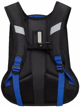 Рюкзак GRIZZLY школьный, анатомическая спинка, 2 отделения, для мальчиков, HOT SPEED, синий, 38х26х20 см, RB-350-3/2