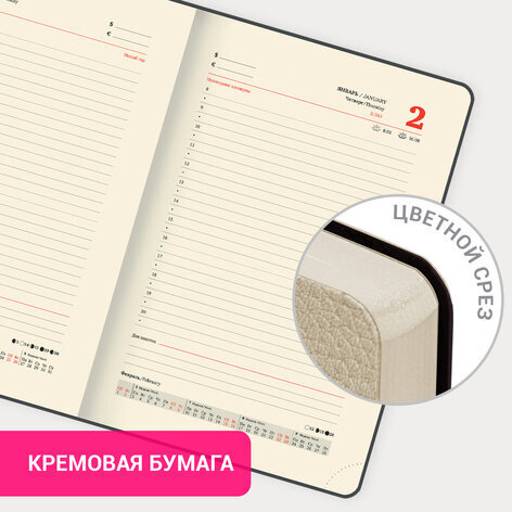 Ежедневник датированный 2025, А5, 138x213 мм, BRAUBERG "Stylish", под кожу гибкий, бежевый, 115828