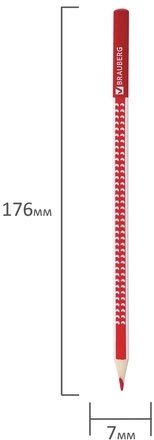 Карандаши цветные BRAUBERG "БАБОЧКИ", 24 цвета, трехгранные заточенные, корпус с полосками