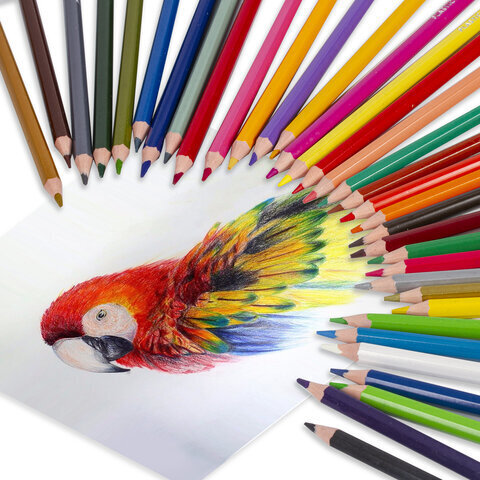 Карандаши цветные BRAUBERG PREMIUM, 36 цветов, шестигранные, грифель мягкий 3 мм, 181669