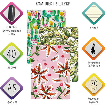 Тетради 40 л. в линию обложка SoftTouch, НАБОР 3 шт., бежевая бумага 70 г/м2, сшивка, А5 (147х210 мм), FLORA, BRAUBERG, 403798
