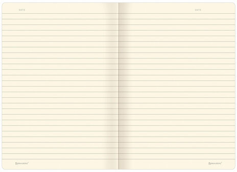 Тетради 40 л. в линию обложка SoftTouch, НАБОР 3 шт., бежевая бумага 70 г/м2, сшивка, А5 (147х210 мм), FLORA, BRAUBERG, 403798