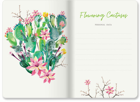 Тетради 40 л. в линию обложка SoftTouch, НАБОР 3 шт., бежевая бумага 70 г/м2, сшивка, А5 (147х210 мм), FLORA, BRAUBERG, 403798