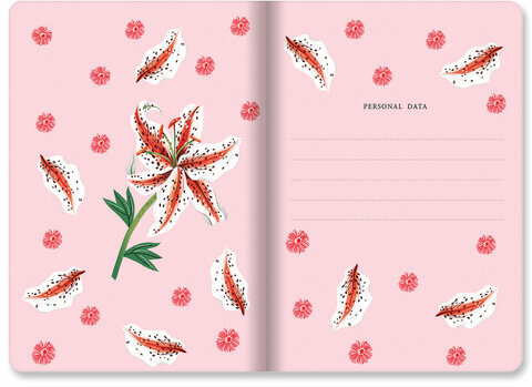 Тетради 40 л. в линию обложка SoftTouch, НАБОР 3 шт., бежевая бумага 70 г/м2, сшивка, А5 (147х210 мм), FLORA, BRAUBERG, 403798