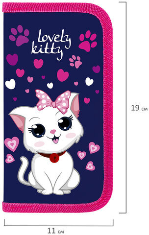 Пенал ПИФАГОР, 2 отделения, ламинированный картон, 19х11 см, "Positive Kitty", 271534