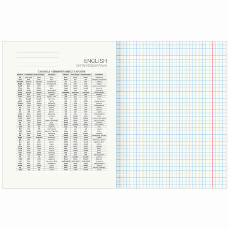 Тетрадь предметная "DELIGHT" 48 л., обложка картон, АНГЛИЙСКИЙ ЯЗЫК, клетка, BRAUBERG, 404570