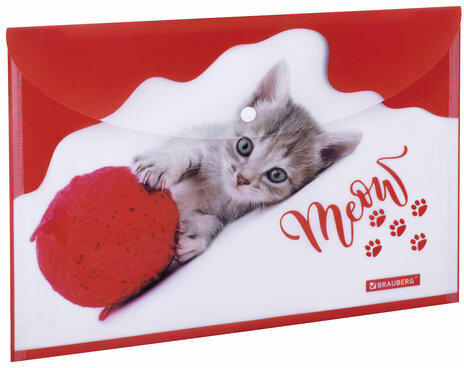 Папка-конверт с кнопкой BRAUBERG "FUNNY CAT", А4, 160 мкм, цветная печать, 228038