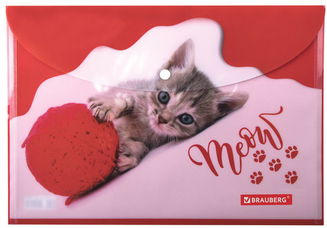 Папка-конверт с кнопкой BRAUBERG "FUNNY CAT", А4, 160 мкм, цветная печать, 228038