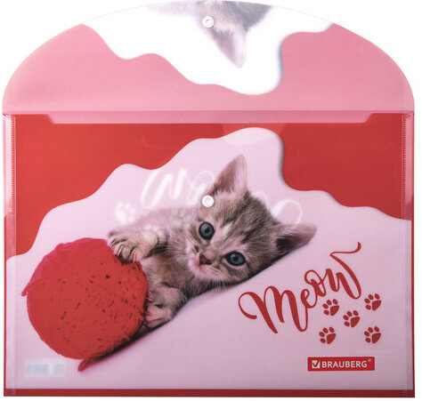 Папка-конверт с кнопкой BRAUBERG "FUNNY CAT", А4, 160 мкм, цветная печать, 228038