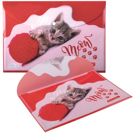 Папка-конверт с кнопкой BRAUBERG "FUNNY CAT", А4, 160 мкм, цветная печать, 228038