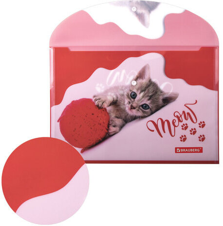 Папка-конверт с кнопкой BRAUBERG "FUNNY CAT", А4, 160 мкм, цветная печать, 228038