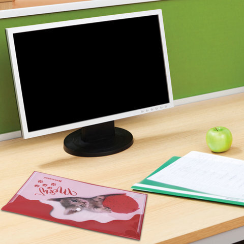 Папка-конверт с кнопкой BRAUBERG "FUNNY CAT", А4, 160 мкм, цветная печать, 228038