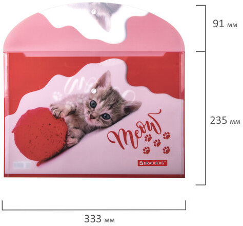 Папка-конверт с кнопкой BRAUBERG "FUNNY CAT", А4, 160 мкм, цветная печать, 228038