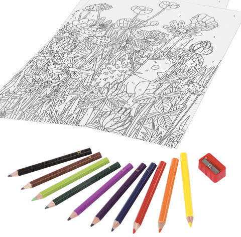 Раскраска по номерам А4, ЮНЛАНДИЯ "ЕЖИК", С ЦВЕТНЫМИ КАРАНДАШАМИ, на картоне, 661608